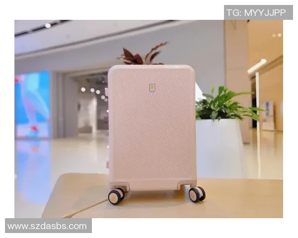 创新设计与智能科技结合，探索箱包行业未来发展的新趋势与市场潜力