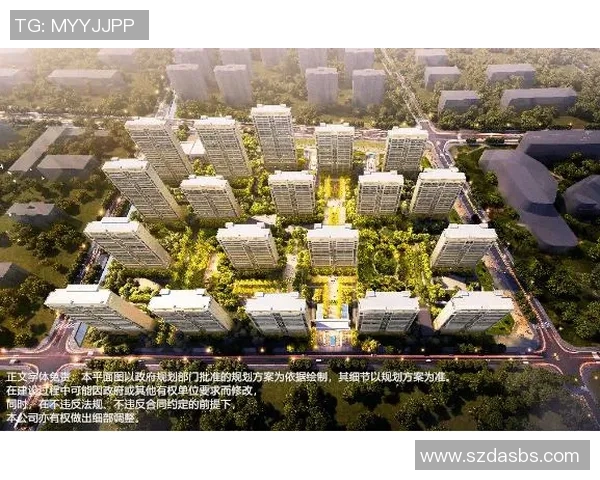 球场为核心的城市空间重构与运动文化融合探索