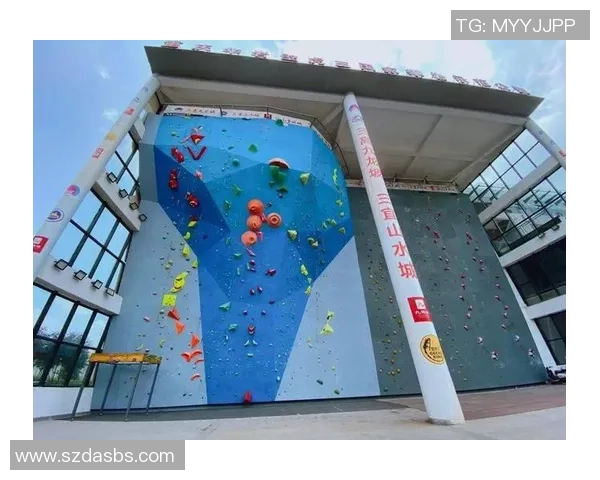 杭州攀岩队技术探讨与训练心得分享助力攀岩运动发展 杭州攀岩队技术探讨与训练心得分享助力攀岩运动发展