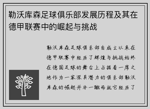 勒沃库森足球俱乐部发展历程及其在德甲联赛中的崛起与挑战