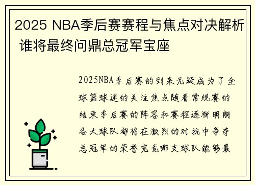 2025 NBA季后赛赛程与焦点对决解析 谁将最终问鼎总冠军宝座