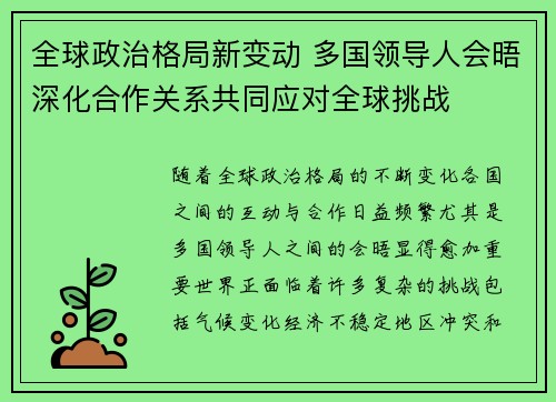 全球政治格局新变动 多国领导人会晤深化合作关系共同应对全球挑战