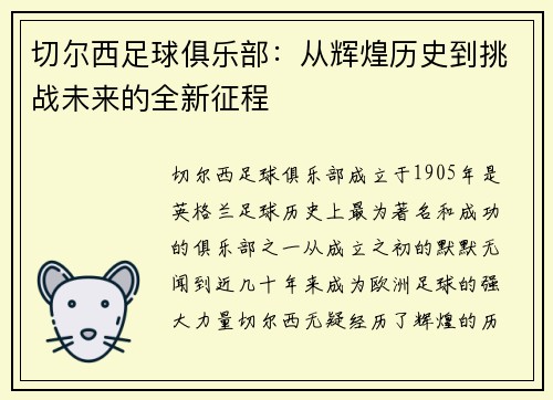 切尔西足球俱乐部：从辉煌历史到挑战未来的全新征程